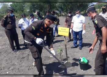 IAD Wilayah NTT Tanam 100 Anakan Pohon Ditanam di Halaman Kantor Kejari Kabupaten Kupang