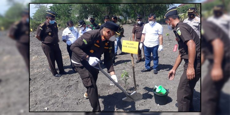 IAD Wilayah NTT Tanam 100 Anakan Pohon Ditanam di Halaman Kantor Kejari Kabupaten Kupang