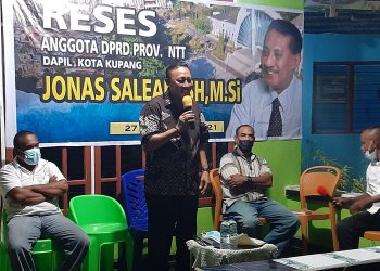 Jonas Salean Menyayangkan Akun Palsu Yang Gemar Tebar Fitnah Di Medsos