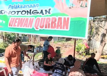 Rayakan Idul Adha 2023, K2S Keluarga Jawa Kota Kupang Potong 138 Ekor Hewan Kurban