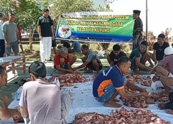 Pelaksanaan Penyembelihan Hewan Kurban di Rutan Kelas IIB Kupang, Kamis 29 Juni 2023
