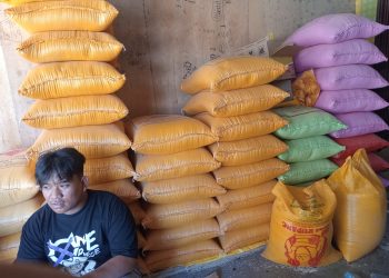 Kenaikan Harga Beras Memicu Terjadinya Penimbunan Beras Bulog