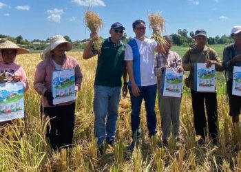 Inspirasi dari Kegigihan Petani Rote Menghadapi Tantangan Alam Demi Ketahanan Pangan