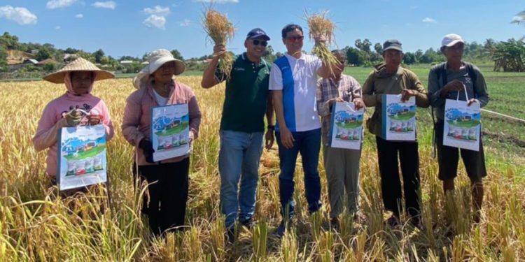 Inspirasi dari Kegigihan Petani Rote Menghadapi Tantangan Alam Demi Ketahanan Pangan
