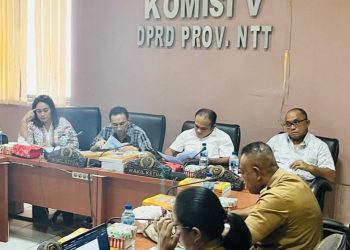 PPDB 2024 Masih Tetap Gunakan Sistem Zonasi
