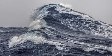Tsunami Mulai Mencapai 3 Provinsi Di Jepang usai Gempa M 7,1