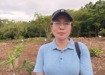 Seorang Guru Di Kota Kupang Diberhentikan Tanpa Alasan Oleh BKD