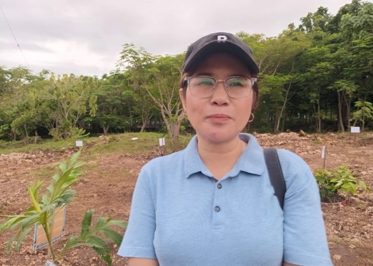 Seorang Guru Di Kota Kupang Diberhentikan Tanpa Alasan Oleh BKD