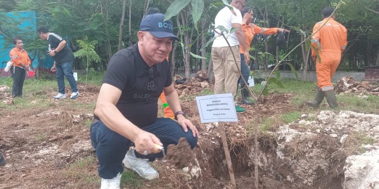 Simon Dima : “Anakan Pohon Yang Ditanam Oleh Anggota DPRD Kota Kupang Adalah Hadiah Terindah Dari Wali Kota dan Wakil Wali Kota Kupang”