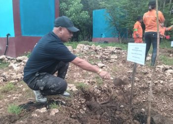DPRD Kota Kupang Dukung Penanaman Pohon Untuk Penghijauan