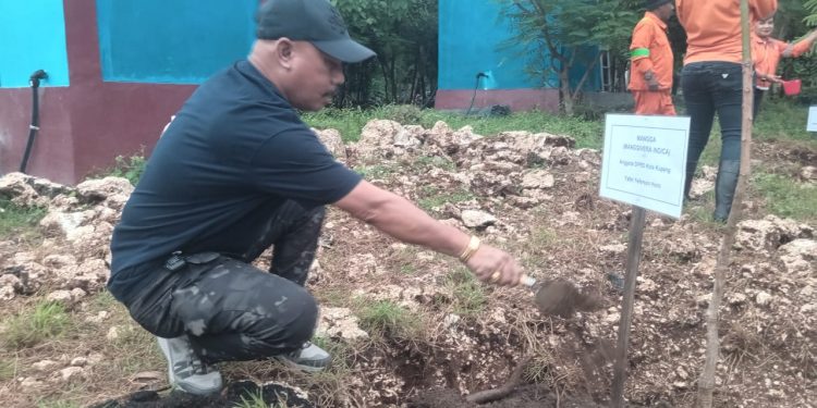 DPRD Kota Kupang Dukung Penanaman Pohon Untuk Penghijauan