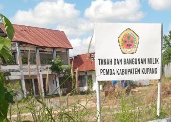 Rencana Jual Aset Kabupaten Kupang, Bupati Kupang Diminta Sesuai Aturan