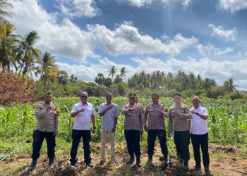 kunjungan Pamatwil Dan Kapolres Sabu Raijua Dukung Program Ketahanan Pangan Di Desa Matei