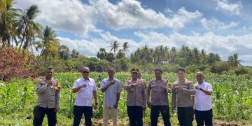 kunjungan Pamatwil Dan Kapolres Sabu Raijua Dukung Program Ketahanan Pangan Di Desa Matei