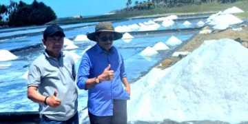 Sabu Raijua: Lumbung Garam Berkualitas Super, Rebut Perhatian Perusahaan Nasional