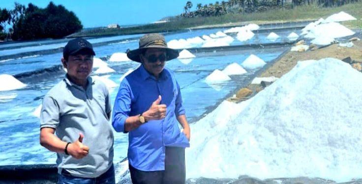 Sabu Raijua: Lumbung Garam Berkualitas Super, Rebut Perhatian Perusahaan Nasional