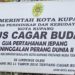 Situs Gua Jepang Jadi Saksi Sejarah Kemerdekaan Indonesia