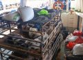 Penumpang KMP Uma Kalada Keluhkan Bau Kotoran Babi yang Menyengat