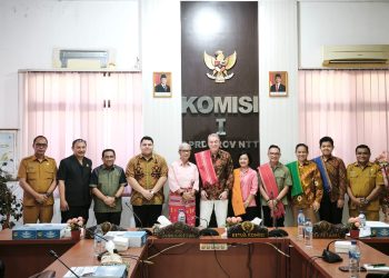 Tim Tidal Bridge Temui DPRD NTT Bahas Proyek Listrik Tenaga Arus Laut di Selat Gonsalu, Flotim