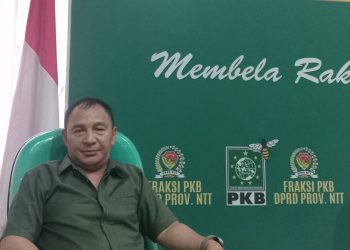 Anggota DPRD NTT Marselinus Ngganggus Minta Pemerintah Sikapi Keluhan Warga Terkait Kerusakan Jalan Mesakh Amalo
