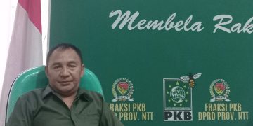 Anggota DPRD NTT Marselinus Ngganggus Minta Pemerintah Sikapi Keluhan Warga Terkait Kerusakan Jalan Mesakh Amalo