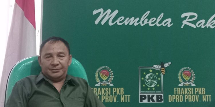 Anggota DPRD NTT Marselinus Ngganggus Minta Pemerintah Sikapi Keluhan Warga Terkait Kerusakan Jalan Mesakh Amalo