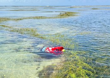 Gempar temuan Mayat Pria di Pantai Nangarara Hawu Mehara, Diduga Tenggelam