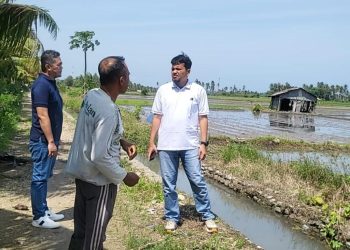 Perum BULOG Kanwil NTT Siap Dukung Swasembada Pangan Melalui Penyerapan Gabah Petani Lokal
