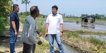 Perum BULOG Kanwil NTT Siap Dukung Swasembada Pangan Melalui Penyerapan Gabah Petani Lokal