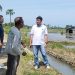 Perum BULOG Kanwil NTT Siap Dukung Swasembada Pangan Melalui Penyerapan Gabah Petani Lokal