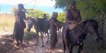 Deo Mengarru Kana Kuru Adat Tolak Pembangunan Tambak Garam (Ubahappu)