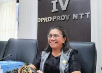 Perda Tentang Pengelolaan DAS Tidak Relevan Dengan Kondisi Saat Ini, An Kolin : Perlu Dibuat Baru