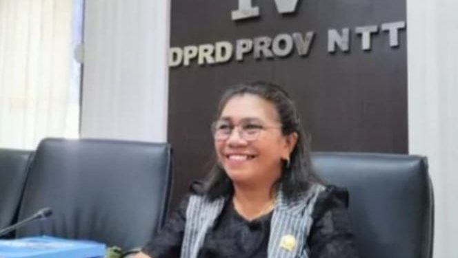 Perda Tentang Pengelolaan DAS Tidak Relevan Dengan Kondisi Saat Ini, An Kolin : Perlu Dibuat Baru