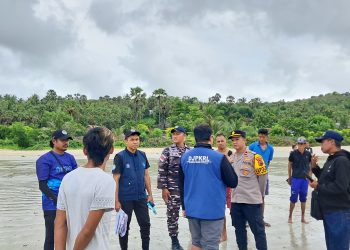 Puluhan Paus Pilot Diselamatkan Dan di kuburkan Di Pantai Mbadokai