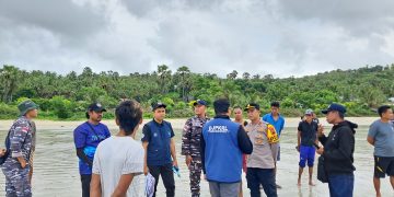 Puluhan Paus Pilot Diselamatkan Dan di kuburkan Di Pantai Mbadokai