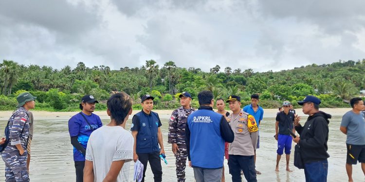 Puluhan Paus Pilot Diselamatkan Dan di kuburkan Di Pantai Mbadokai