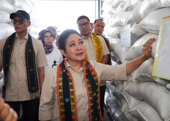 Terima Kunjungan Komisi IV DPR RI, Dirut BULOG Pastikan Stok Beras Nasional Aman dan Stabil