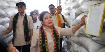 Terima Kunjungan Komisi IV DPR RI, Dirut BULOG Pastikan Stok Beras Nasional Aman dan Stabil