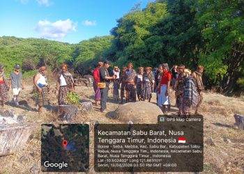 Meriahkan Tradisi, Lembaga Adat Menia Gelar Ritual Hole Bersamaan dengan Pelantikan Mone Ama Rai