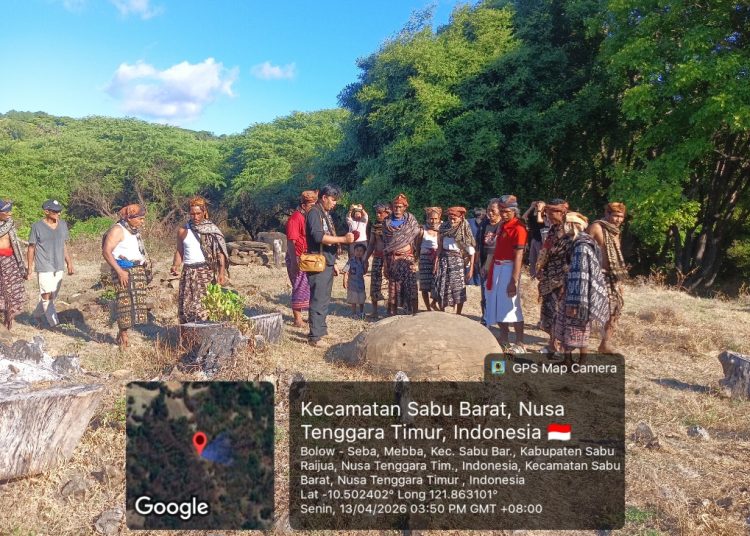 Meriahkan Tradisi, Lembaga Adat Menia Gelar Ritual Hole Bersamaan dengan Pelantikan Mone Ama Rai