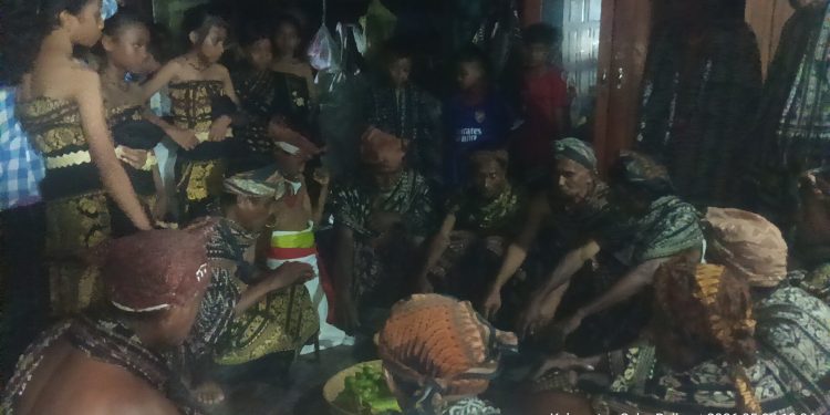Suku Kekoro Dan Teriwu di Sabu Raijua Gelar Ritual Bui Ihi, Pererat Persaudaraan