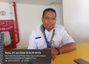 ISPA Menjadi Penyakit Terbanyak Yang Ditangani Puskesmas Penkase Oeleta