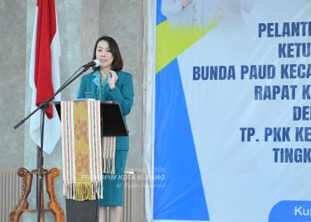 Dukung Program Kesehatan Melalui PKK, Ketua TP PKK Beri Apresiasi Kepada Wali Kota Kupang