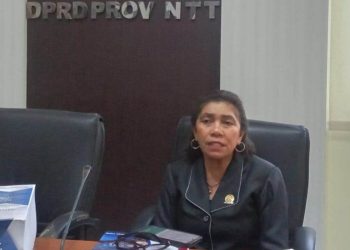 Ana Waha Kolin Minta Pelni Harus Benahi Pelayanan Terhadap Penumpang